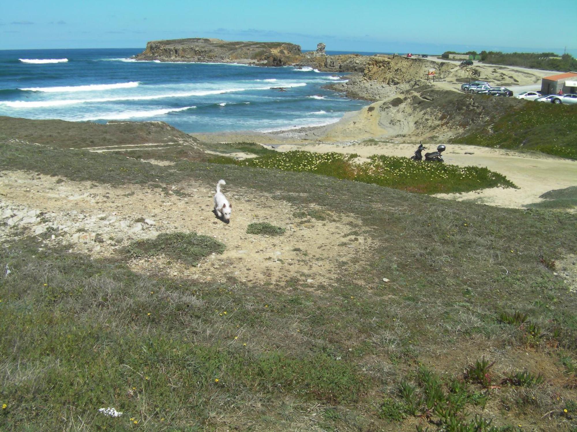 Peniche Surf Lodge 1 Bagian luar foto